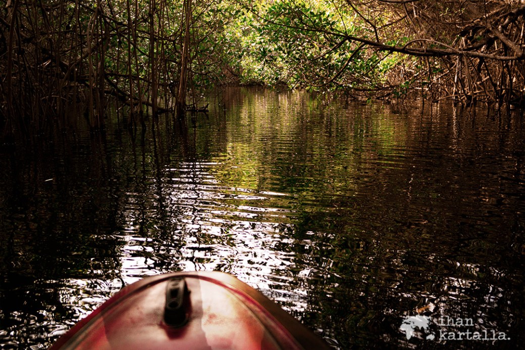 everglades-kanootissa.jpg
