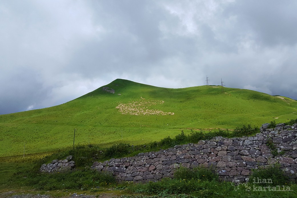 georgia-military-road