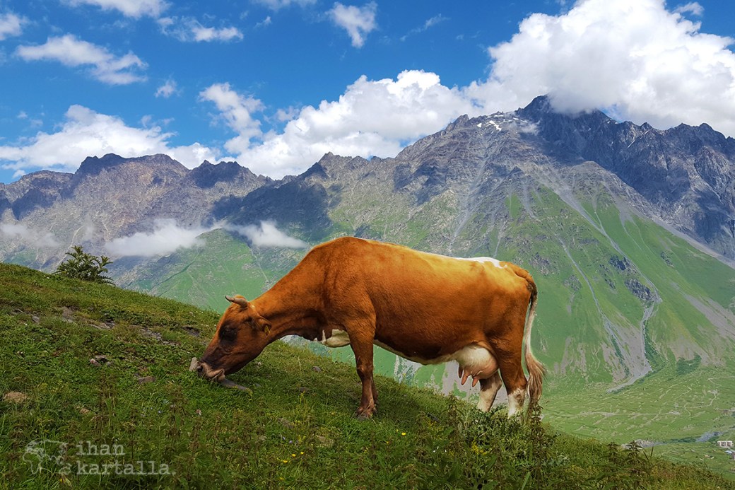 stepantsminda-kazbegi