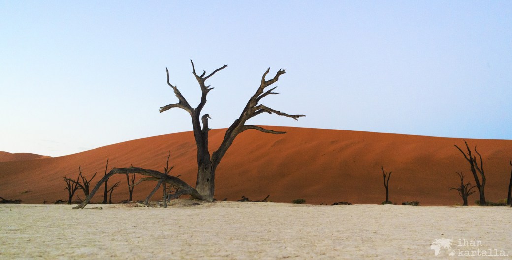 deadvlei-banner