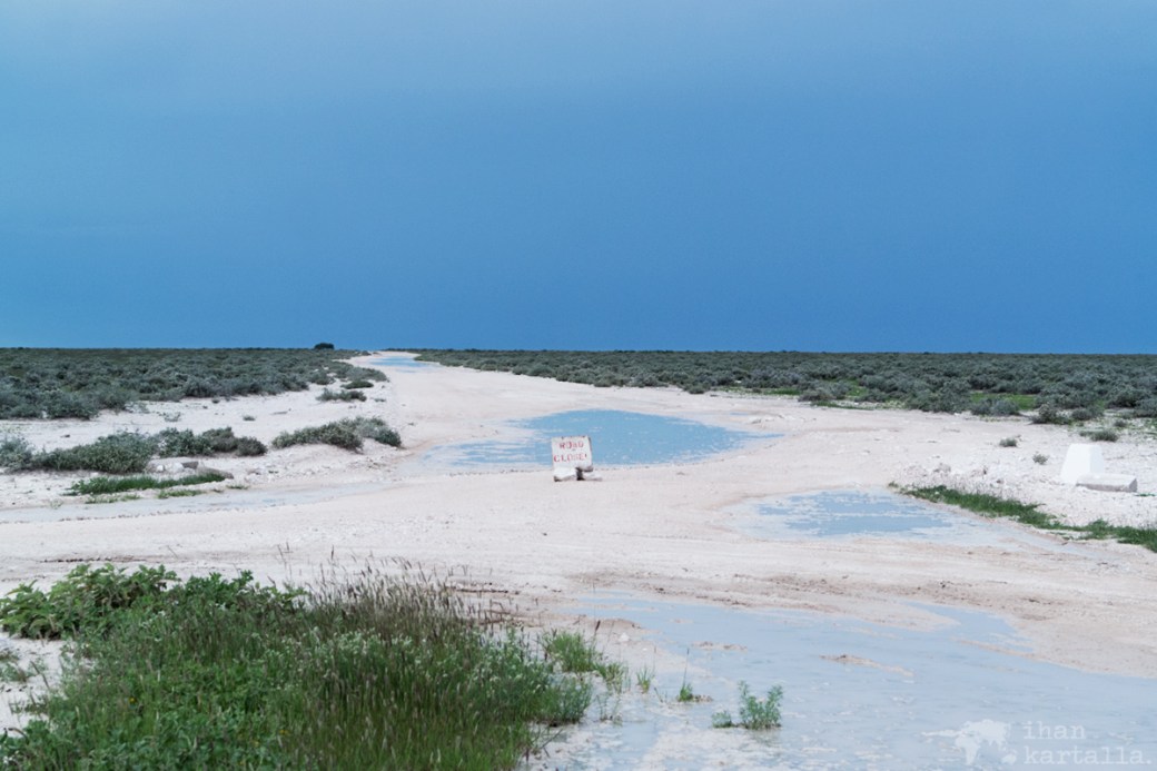 namibia-okaukuejo-road-closed.jpg