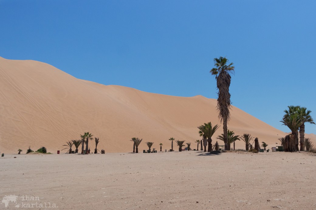 walvis-bay-dune-7.jpg