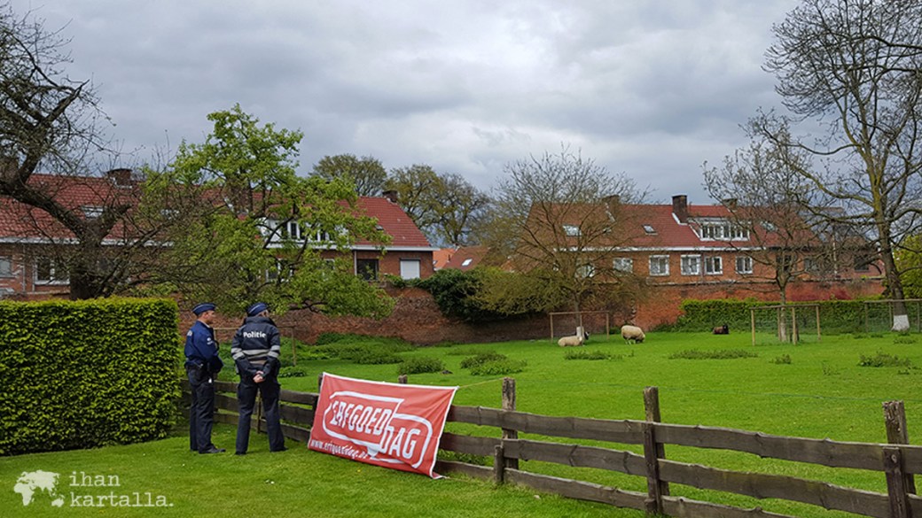 24-4-begijnhof-pollarit