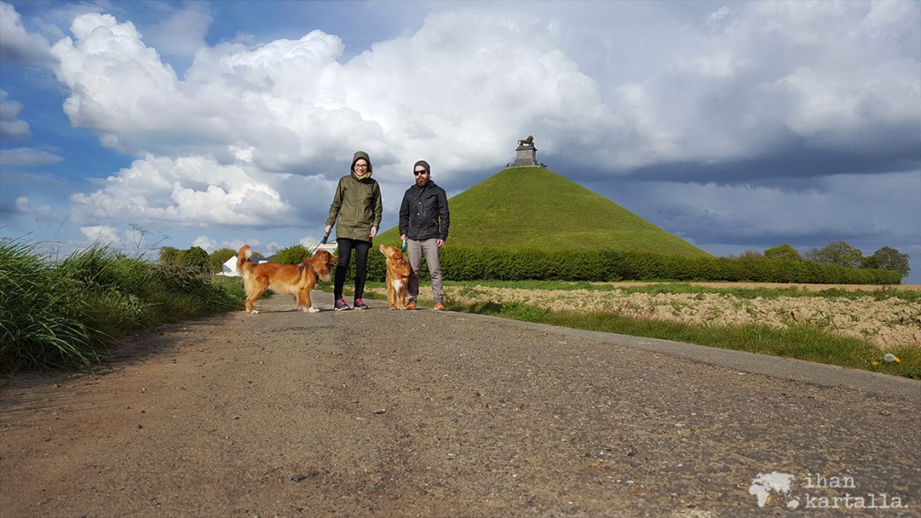 25-4-waterloo koirat