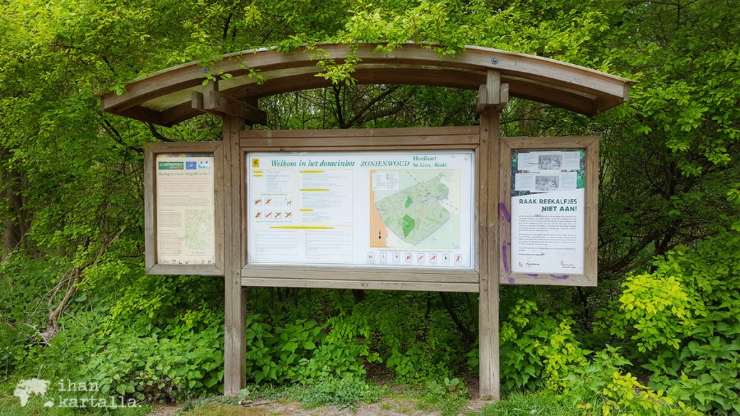 25-4-waterloo metsaan