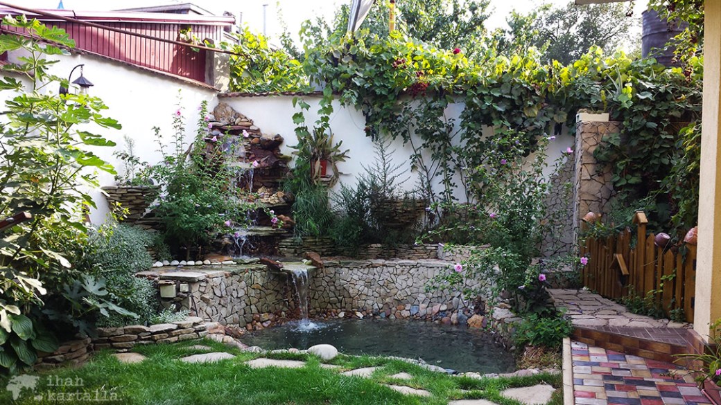 25-8-chisinau-puutarha