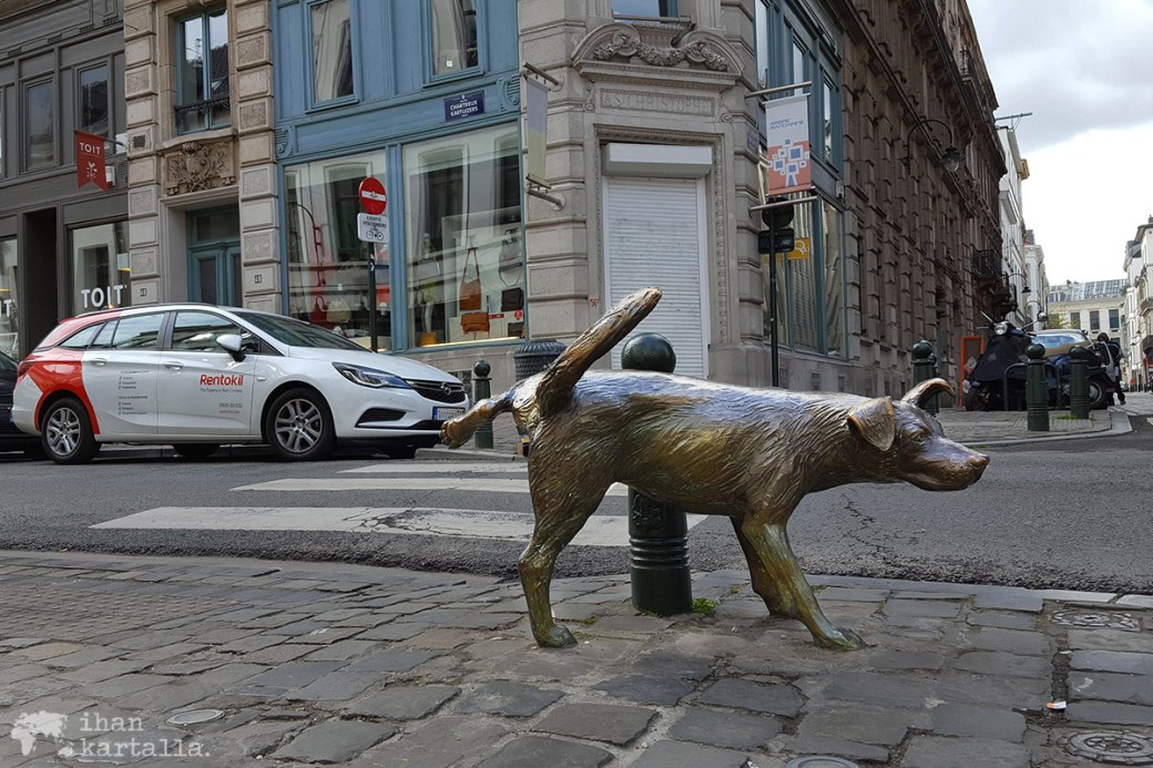 26-4-brysseli zinneke pis