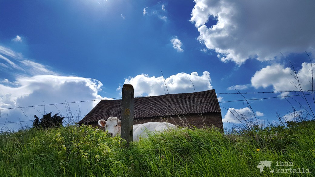 27-4-belgia sint pieters leeuw7