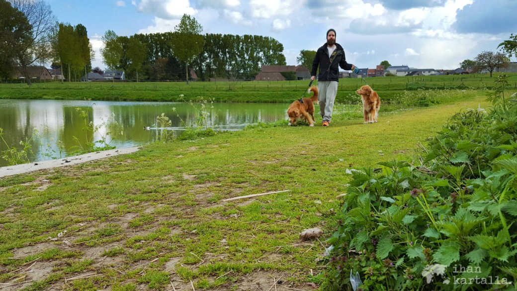 27-4-belgia sint pieters leeuw9