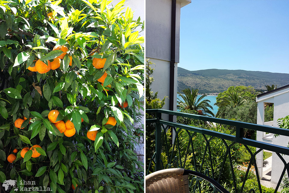 8-6-herceg-novi-terassi