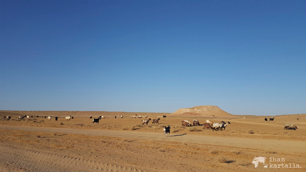 3-7 turkmenistan darvaza lampaat