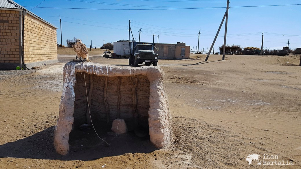 3-7 turkmenistan erbent haukka