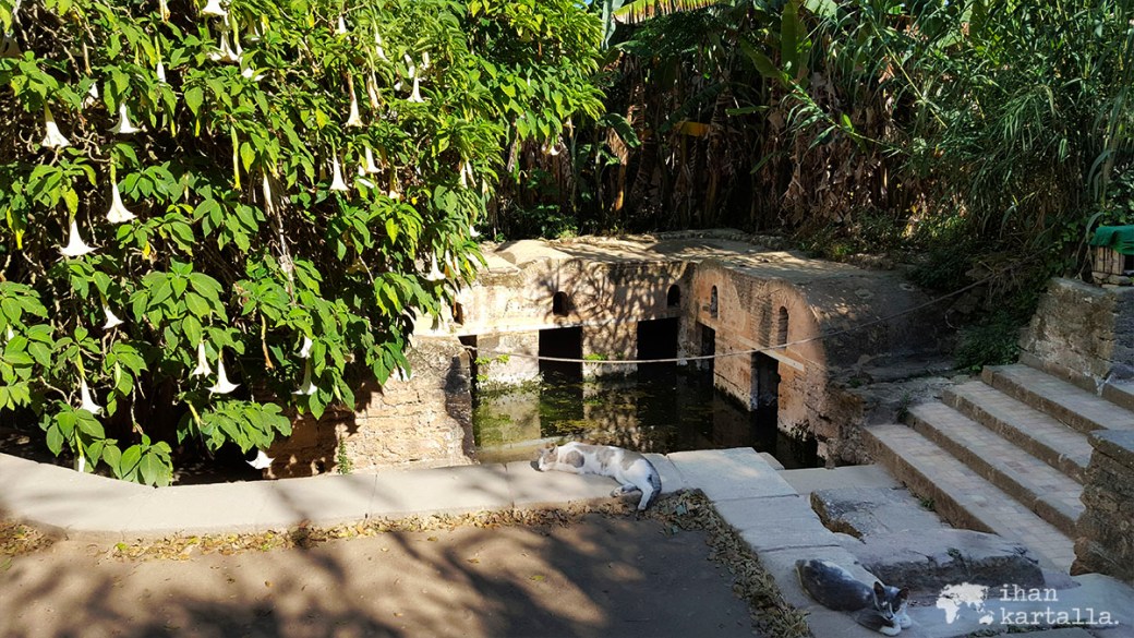 31-5 rabat chellah allas