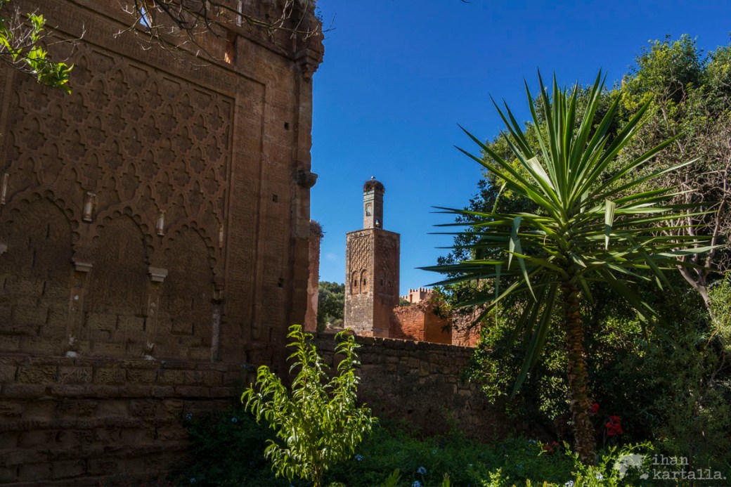 31-5 rabat chellah necropolis