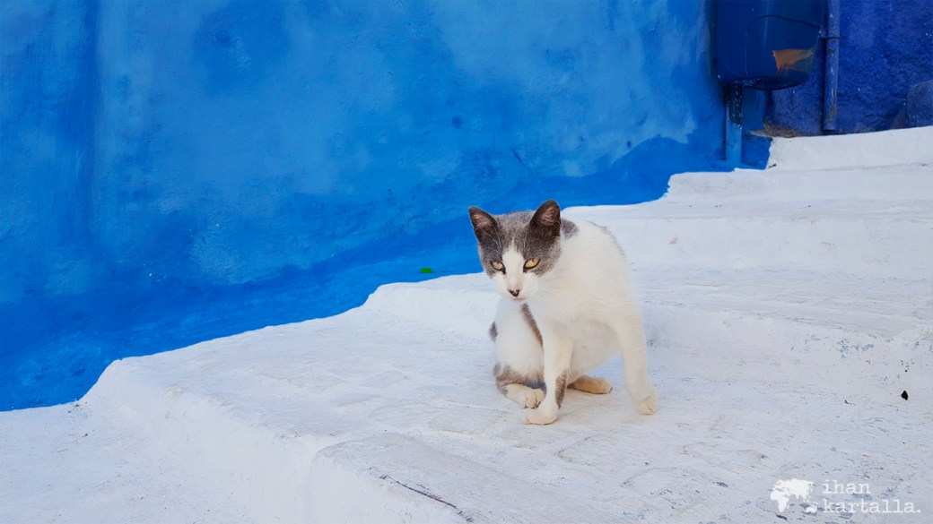 31-5 rabat medina kissa