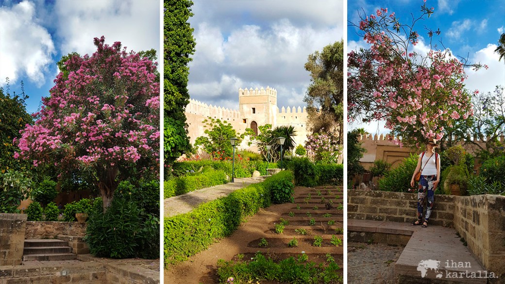 31-5 rabat medina puutarha