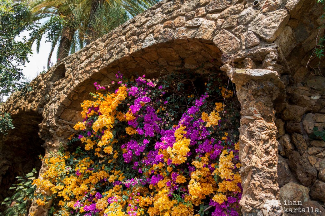 4-6 barcelona park-guell kukat