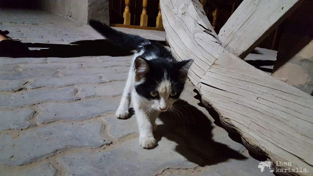 5-7 uzbekistan khiva kissa