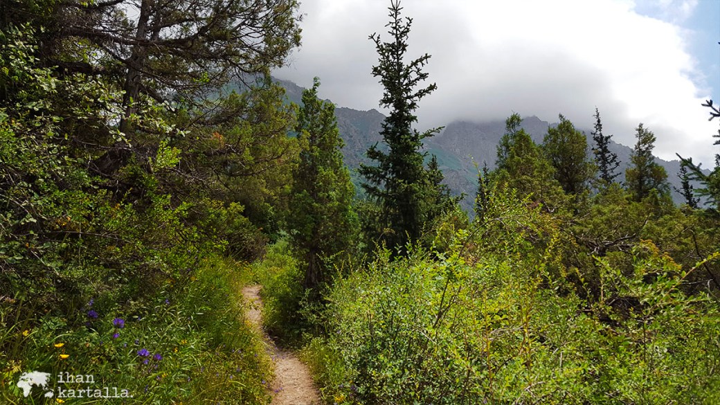 15-7 kirgisia bishek ala archa polku