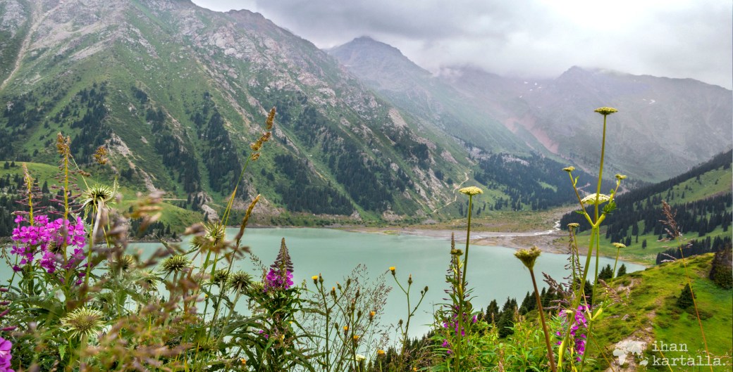 17-7 kazakstan almaty banneri