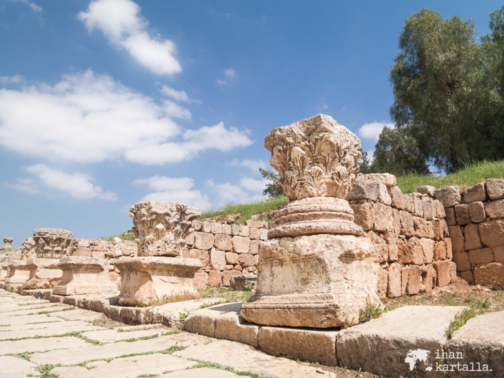 31-3-jordan-jerash-street-2