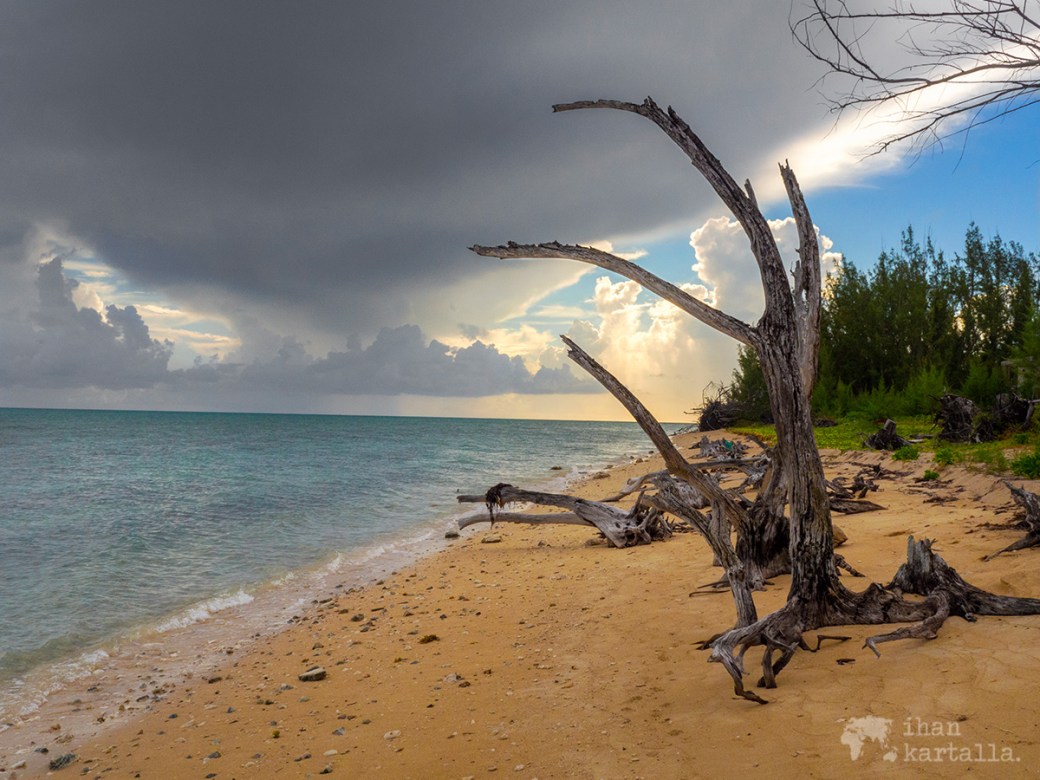 1-9-bahama-coral-harbour-ranta