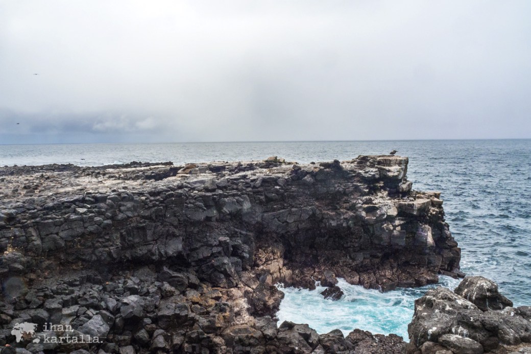 10-9-galapagos-south-plaza-cliff