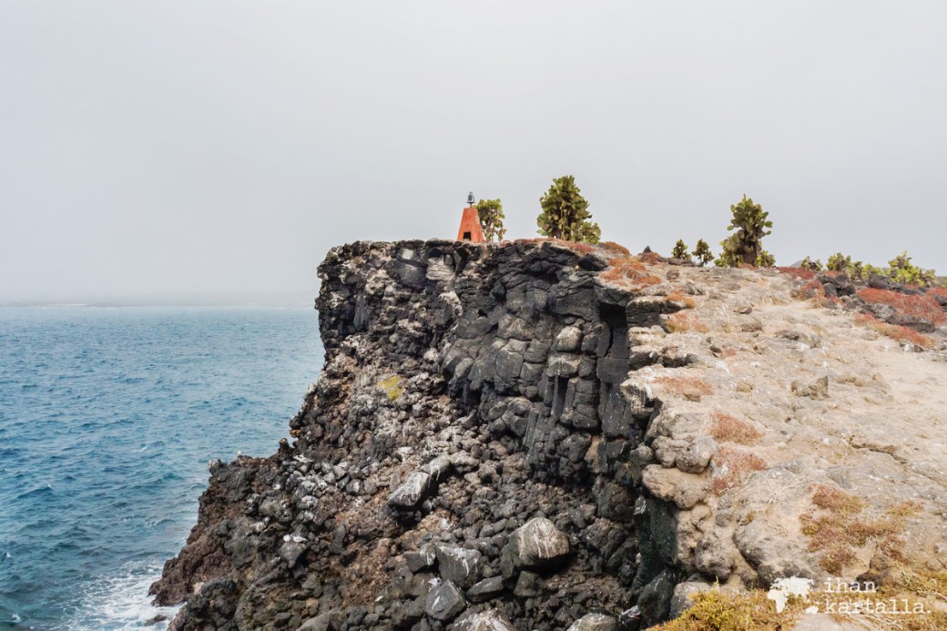 10-9-galapagos-south-plaza-cliff2