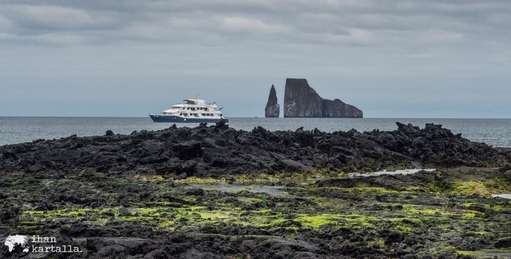 11-9-galapagos-cerro-brujo-banneri