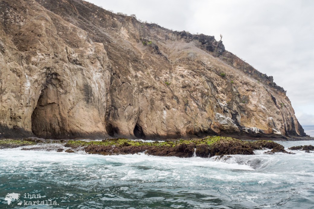 11-9-galapagos-cerro-brujo-sea