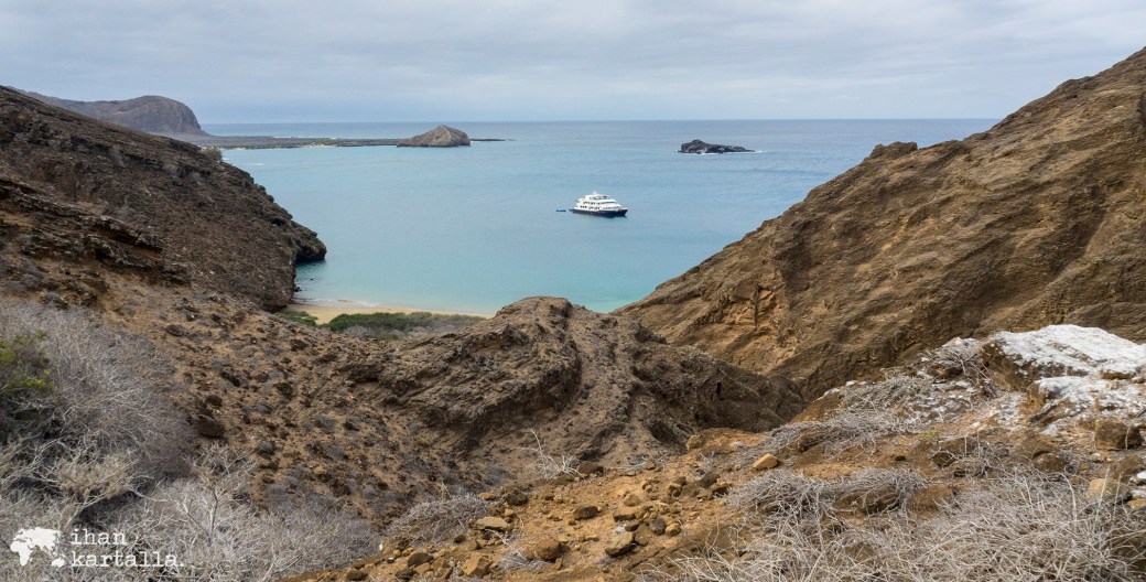 11-9-galapagos-punta-pitt-banneri