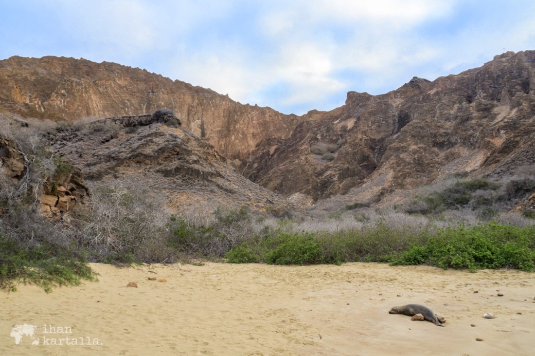 11-9-galapagos-punta-pitt-beach2