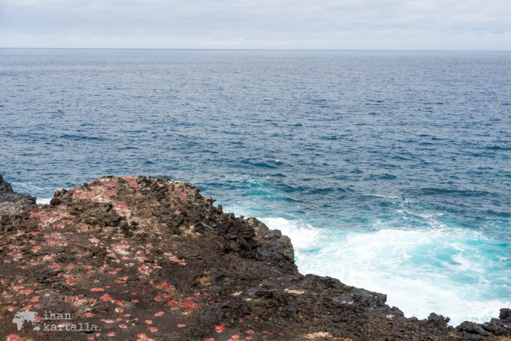 11-9-galapagos-punta-pitt-cliff