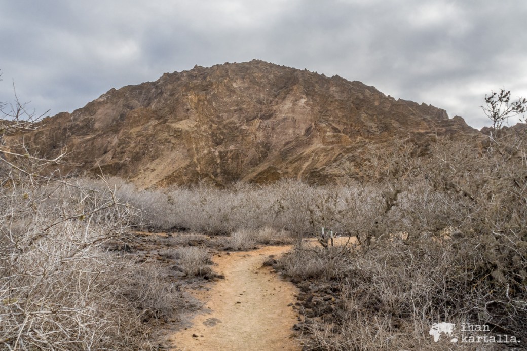 11-9-galapagos-punta-pitt-path