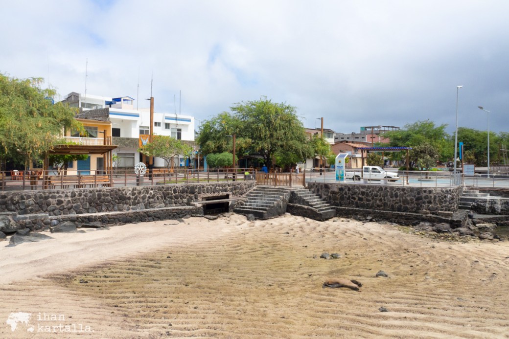 12-9-galapagos-puerto-baquerizo-moreno1