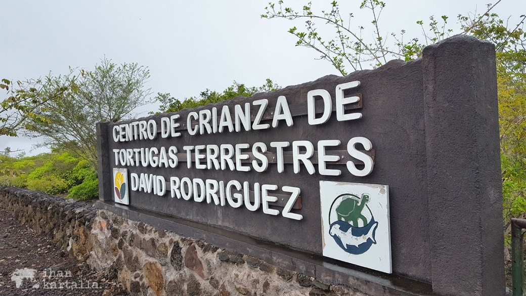 12-9-galapagos-san-cristobal-centro-tortugas