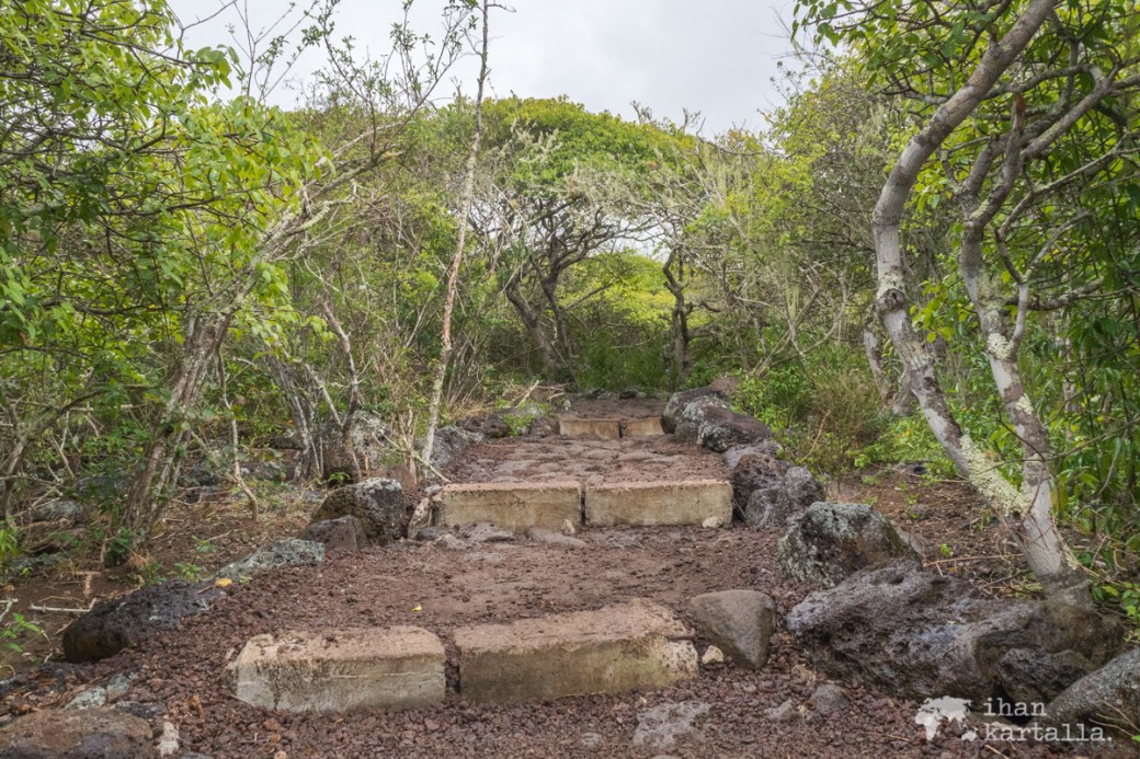 12-9-galapagos-san-cristobal-path