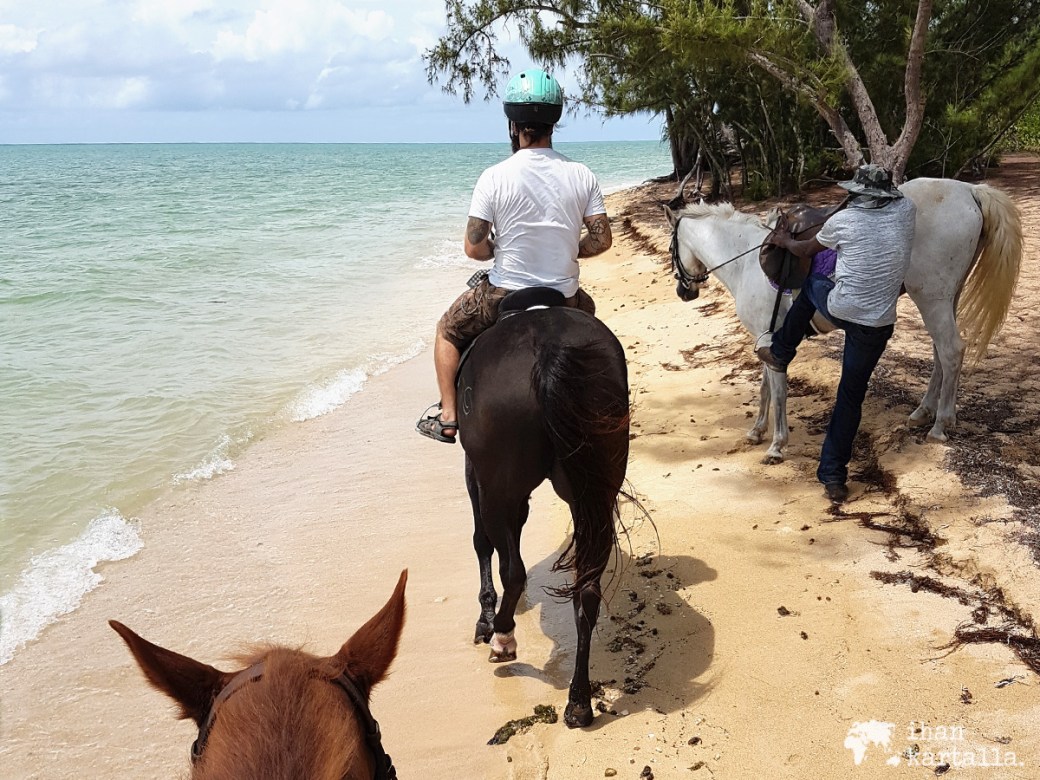 3-9-bahama-ratsastus-ranta