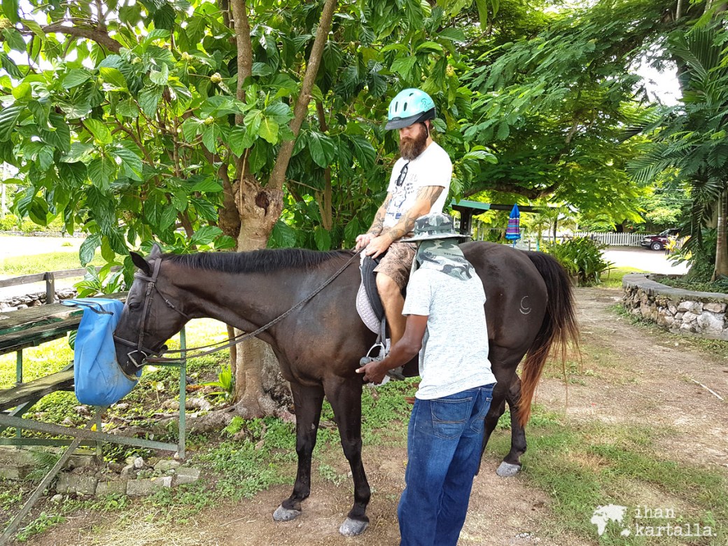 3-9-bahama-ratsastus-talli-2