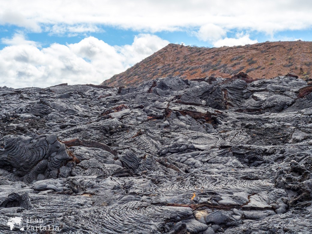9-9-galapagos-santiago-lava-field