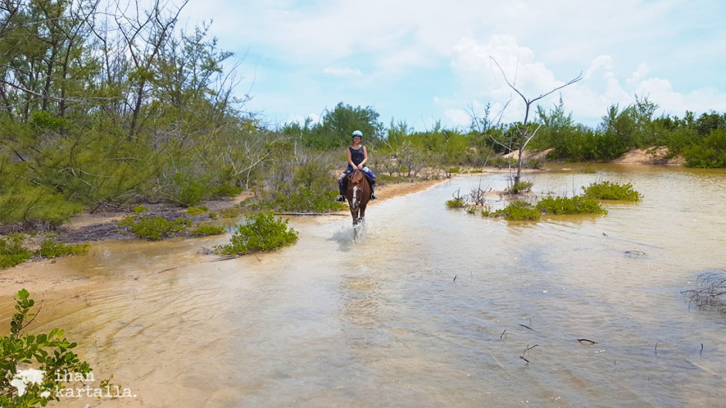 3-9-bahama-ratsastus-jenni