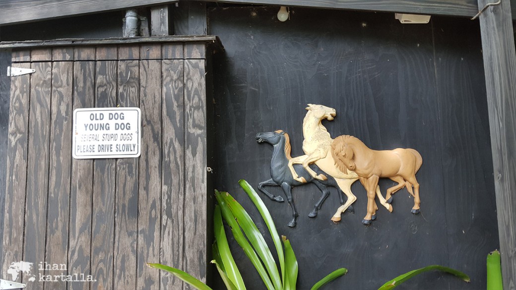 3-9-bahama-ratsastus-kyltti