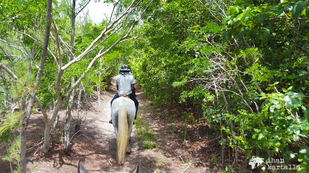 3-9-bahama-ratsastus-polku