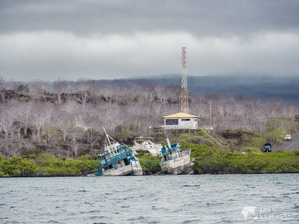 6-9-galapagos-from-baltra-to-santa-cruz
