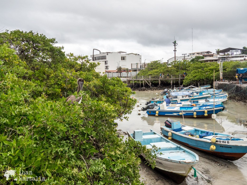 6-9-galapagos-puerto-ayora-satama2