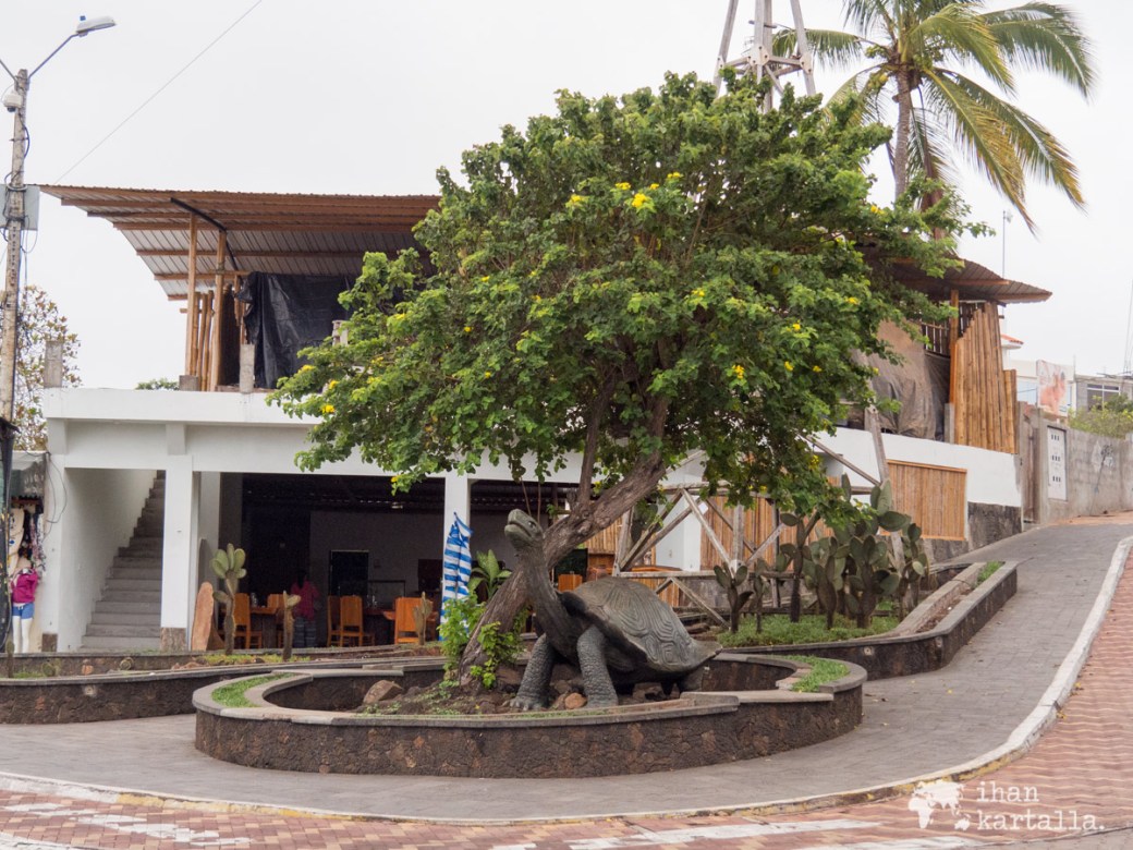 6-9-galapagos-puerto-ayora-tortoise-statue