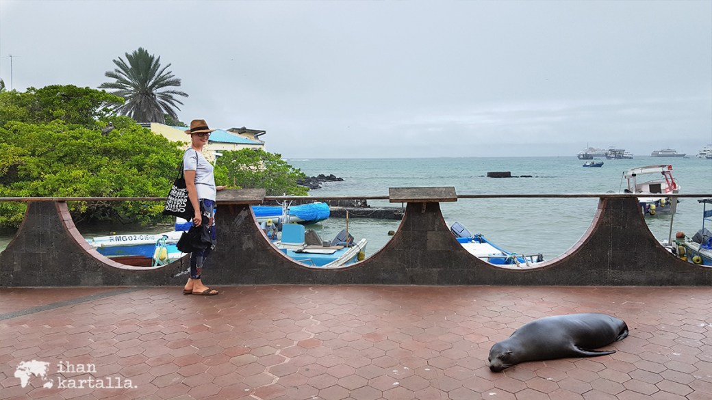 7-9-galapagos-puerto-ayora