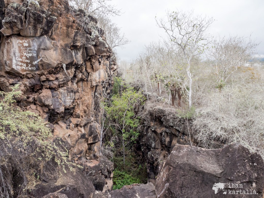 7-9-galapagos-rocks-tortuga-bay