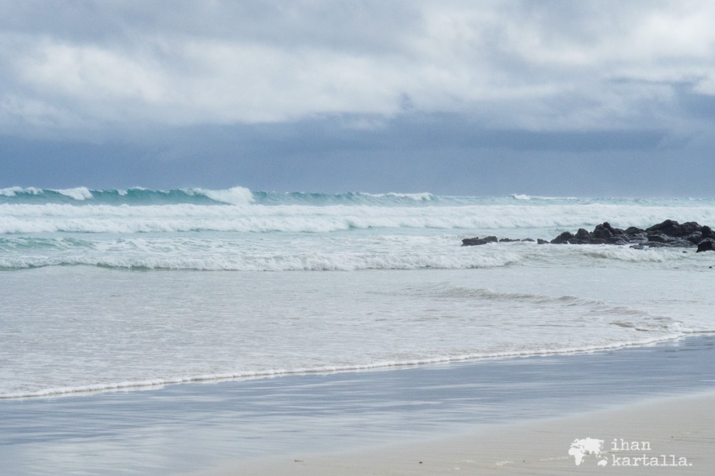 7-9-galapagos-sea-tortuga-bay