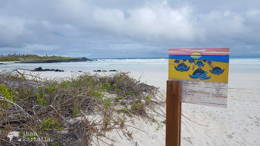 7-9-galapagos-sign-tortuga-bay